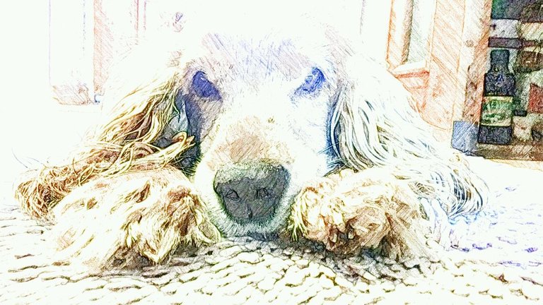 SketchGuru_20160117114917.jpg