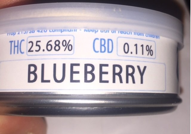 blueberry6.jpg