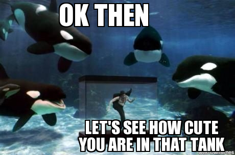 Whales-Meme-1.png