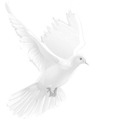 1 dove jpeg яркость85 насыщение -225.jpg