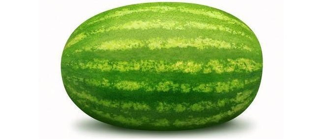 green-watermelon-500x500.jpg