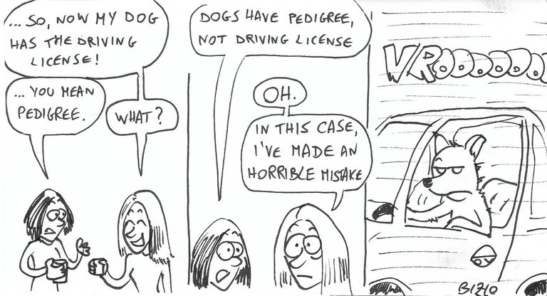 drivingLicense.jpg