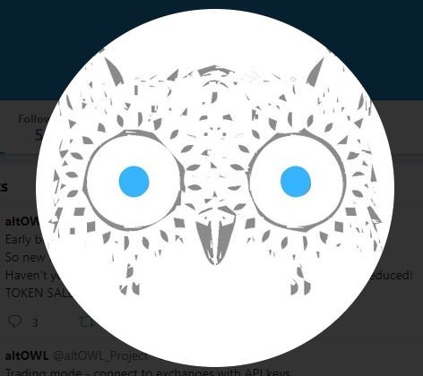 Owl1.JPG