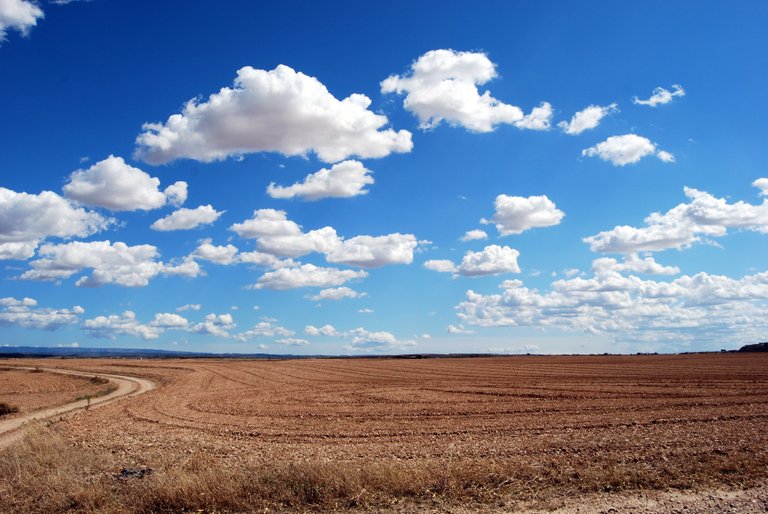 field-clouds-sky-earth-46160.jpeg