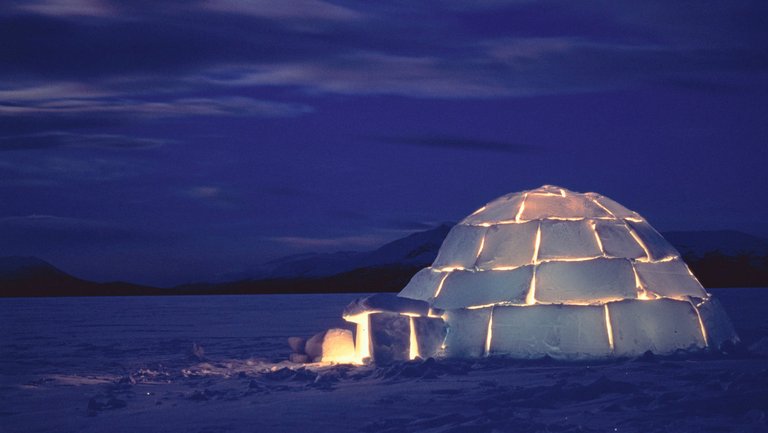 igloo-101-merl.jpg