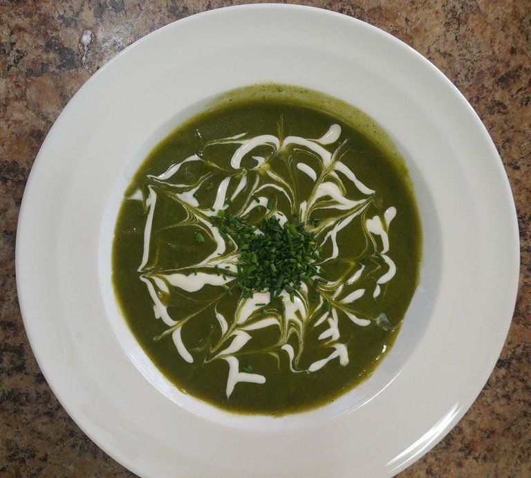 finished nettle soup.jpg