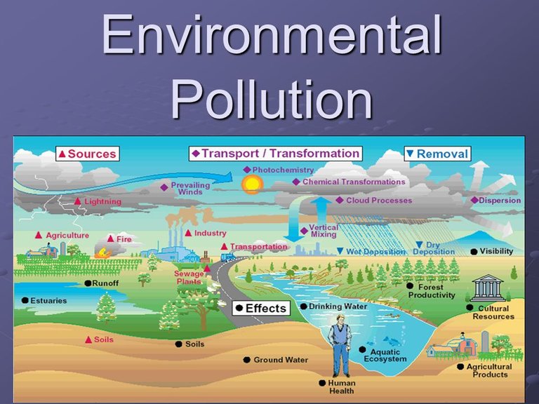 Environmental Pollution.jpg