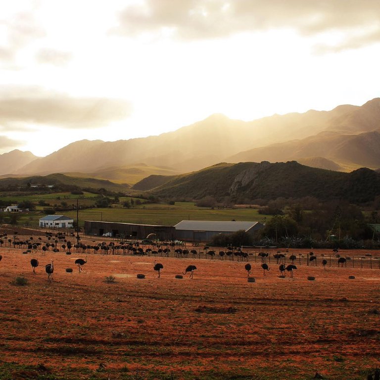 [Landscapephotography] Africa is so beautiful.jpg