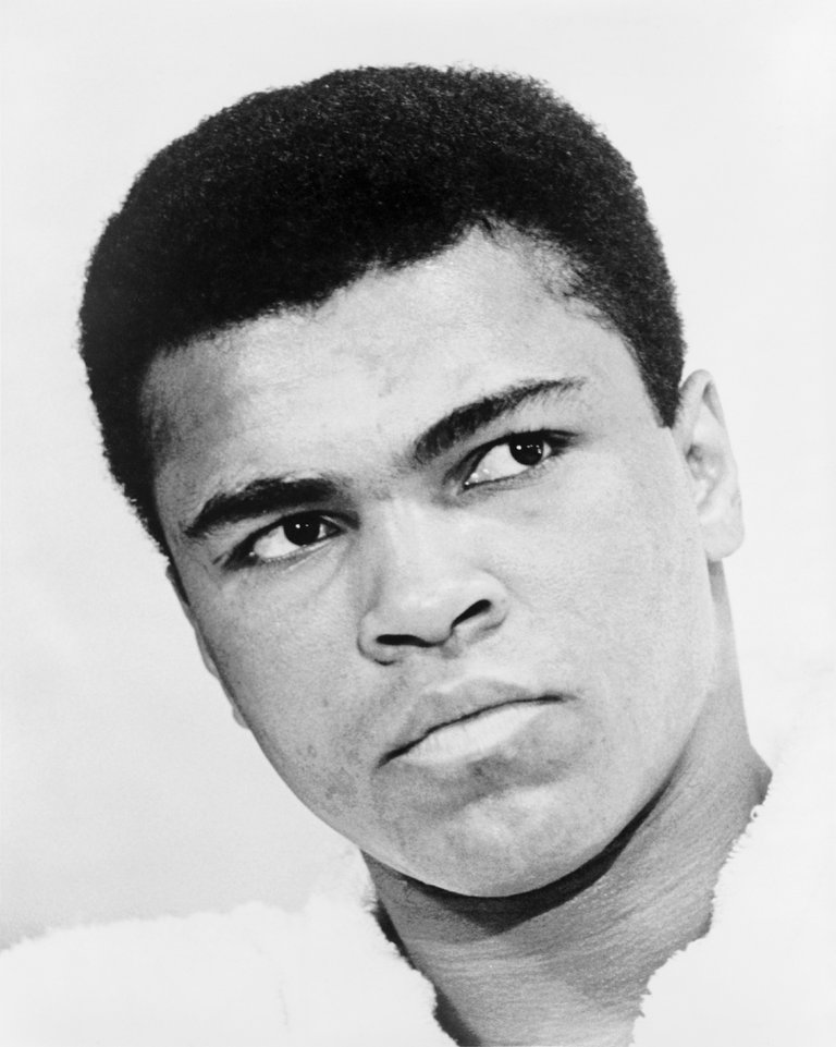 muhammad-ali-572571_1920.jpg