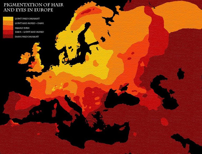 pigmentation of hair.jpg