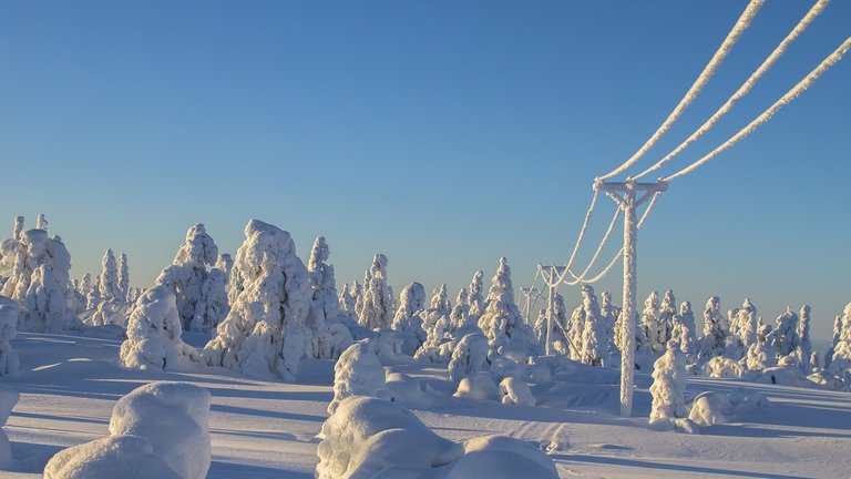 lapland-2984822_1280.jpg