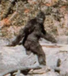 Patterson–Gimlin_film_frame_352.jpg