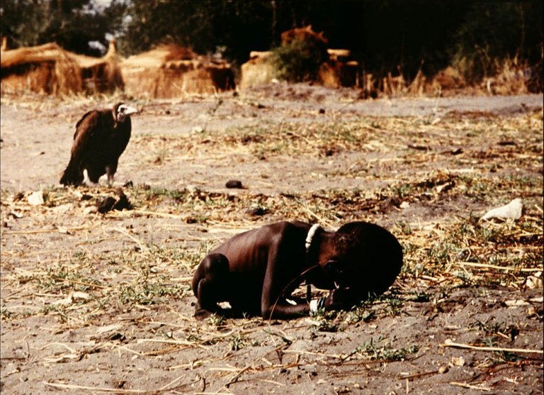 life-of-kevin-carter-the03-1-g.jpg