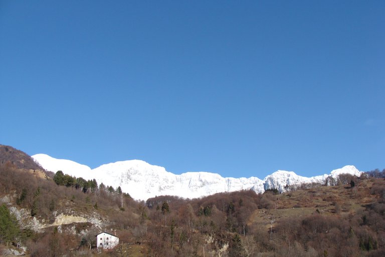 DSC01620.JPG