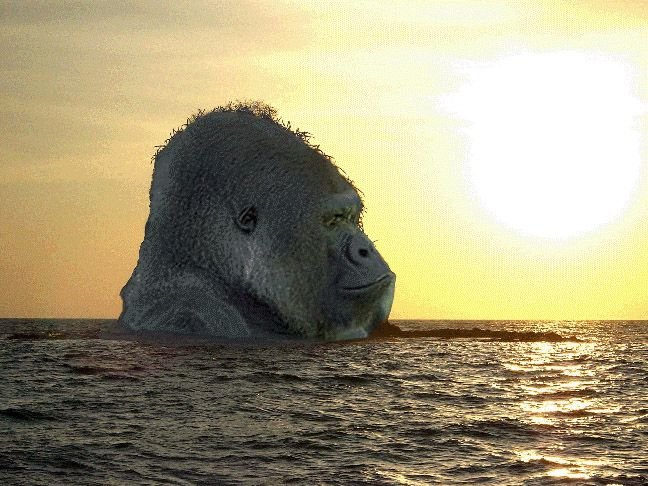 gorillaisland.jpg