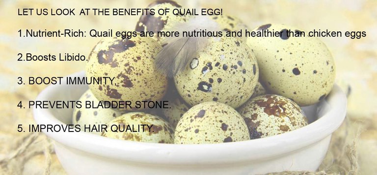 quail-egg copy.jpg