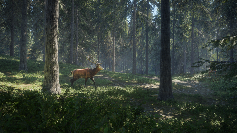 screenshot-red-deer-forest.png