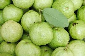 Guava.jpg