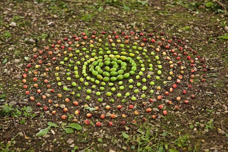 james-brunt-natural-materials-land-art-england44-5a7d95f440317__880.jpg