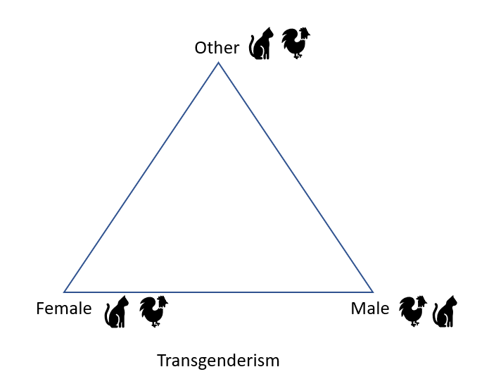 Notes for Feminist Religion_Transgenderism.PNG