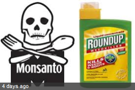 Screenshot-2018-4-6 monsanto roundup - Google Search.png