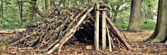 Survival-Shelter-2.jpg