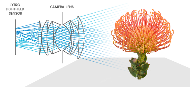 light_field_diagram-4ea0adb-intro.png