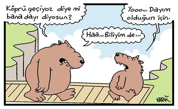 Kopruyu-gecene-kadar-ayiya-dayi-derler-karikaturu.jpg