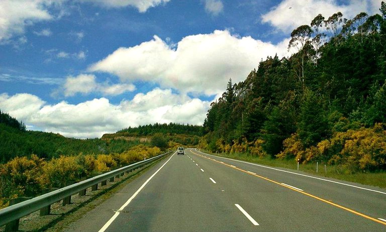 new-zealand-drive.jpg