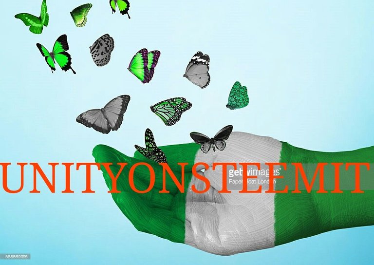nigeria-flag-painted-on-hand-with-butterflies-picture-id588669995.jpg