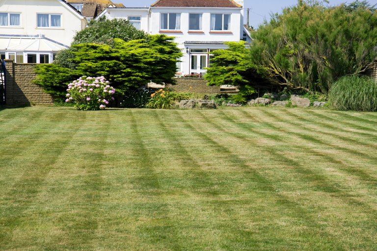 mowed-garden-lawn.jpg