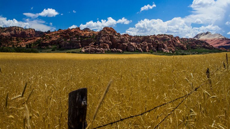 Kolob6.jpg