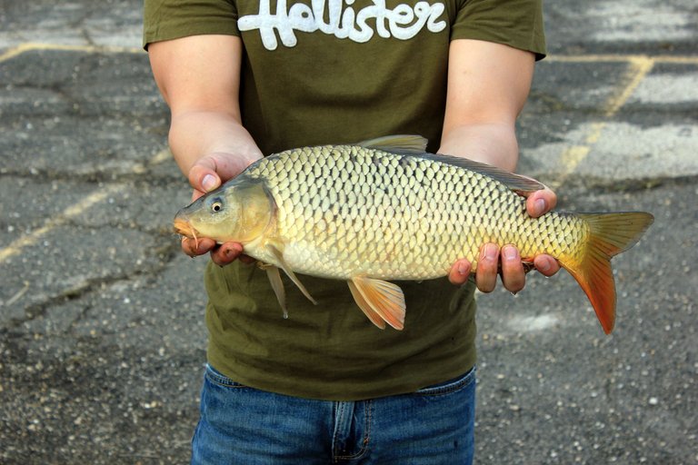 wisconsin-yellowstone-lake-state-park-we-caught-a-fish.jpg