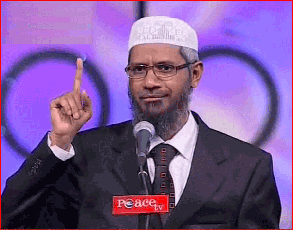 drzakirnaik.png