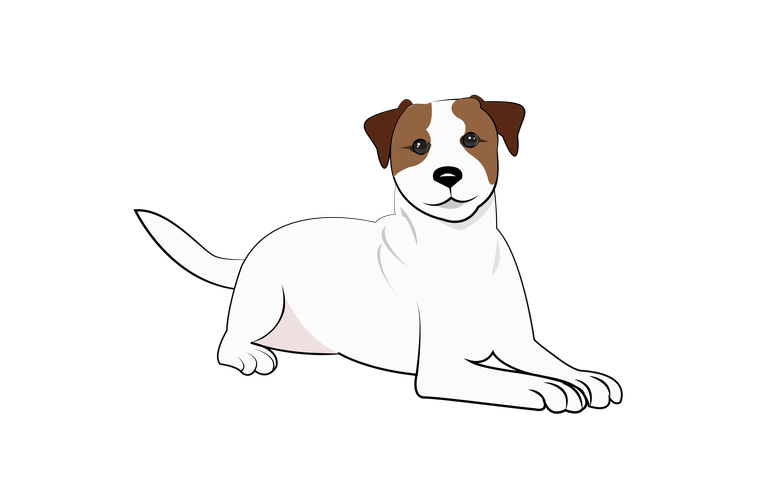 11 Parson Russel Terrier.png