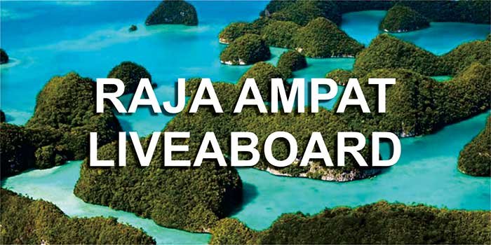 raja ampat 1.jpg