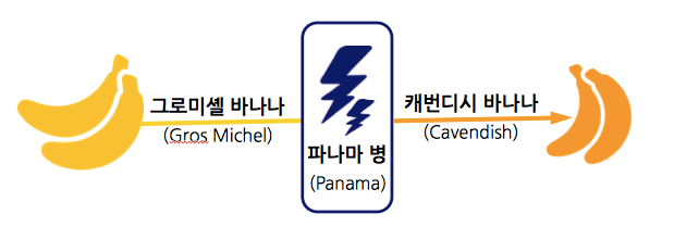 그로미셸to캐번디쉬[1].png