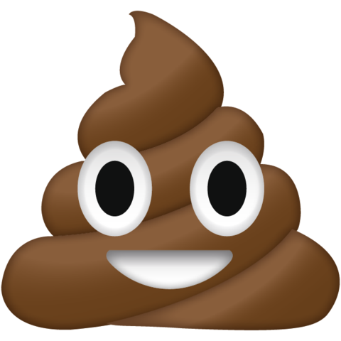 Poop_Emoji_7b204f05-eec6-4496-91b1-351acc03d2c7_large.png