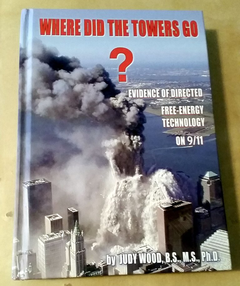 Where did the Towers Go Book.jpeg