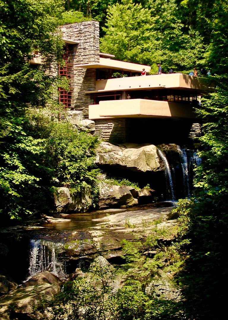 Fallingwater 11.JPG