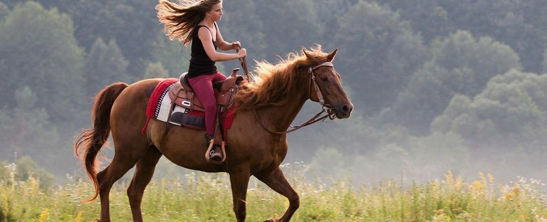 Horseback-Riding-1500x609.jpg