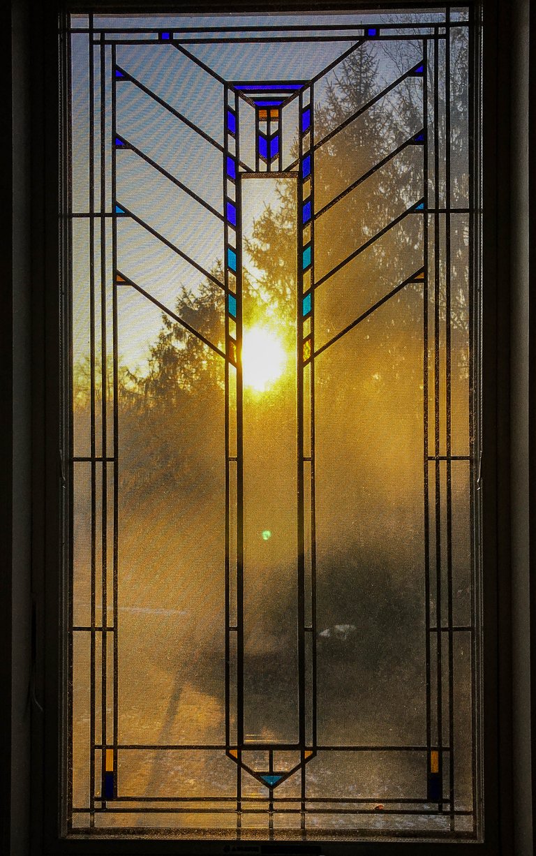 Screened-Morning-Light-02-03-2018-1.jpg