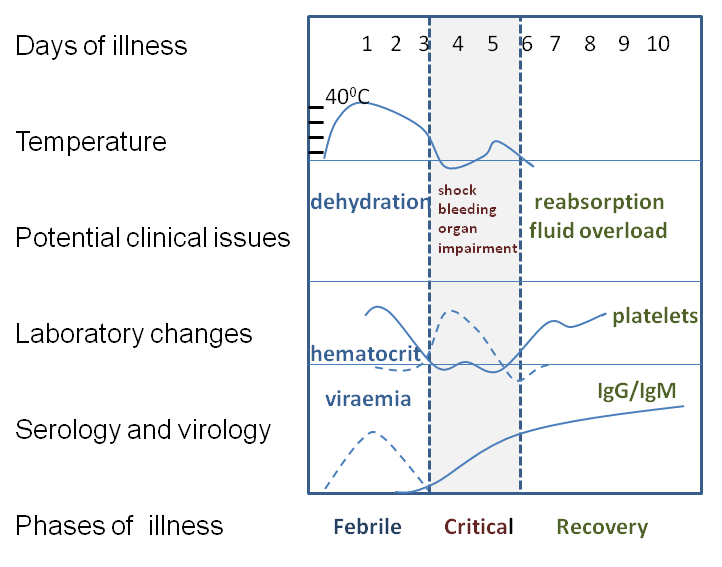 Course_of_Dengue_illness.png