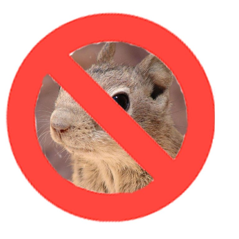 Dont be a lemming.jpg