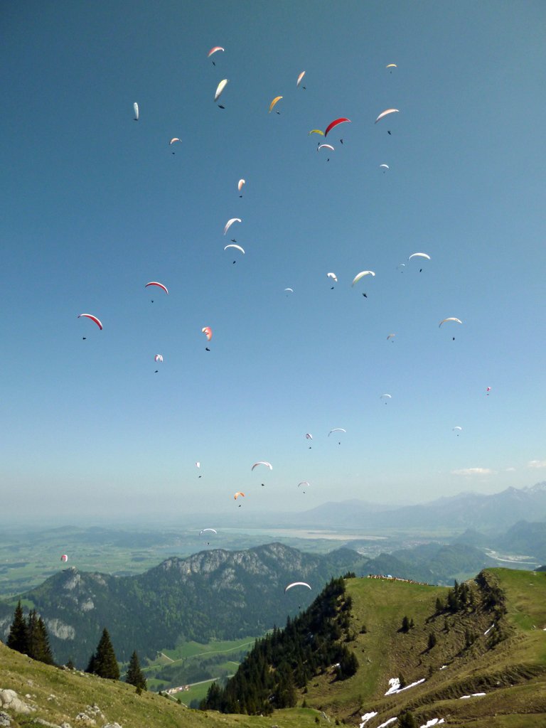 Pulk dreht auf-Franz-Wanger-Cup 2011.jpg