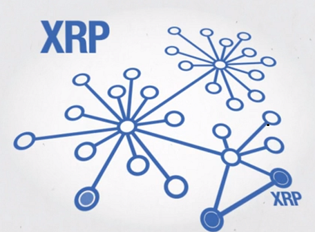 XRPNODE.png