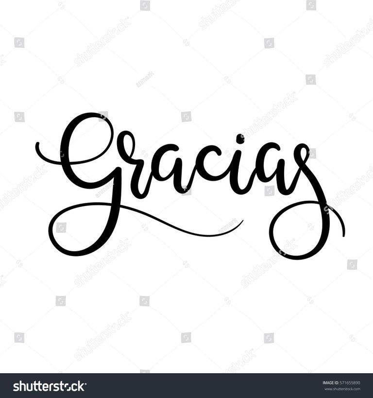 stock-vector-gracias-hand-lettering-greeting-card-thank-you-in-spanish-vector-illistration-modern-calligraphy-571655890.jpg