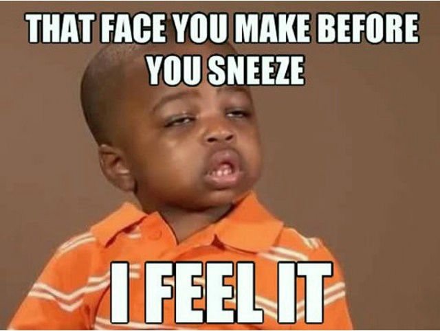 the-face-you-make-before-you-sneeze-funny-memes.jpg