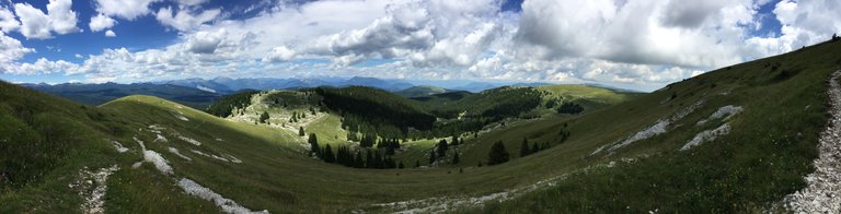 IMG_0043.jpg