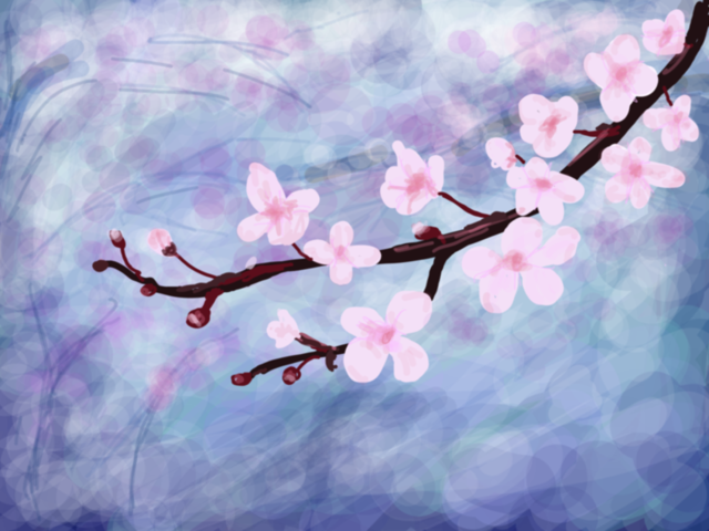 Cherry Blossoms.png